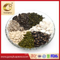 High Quality 2021 Sunflower Seeds Kernels